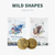 Wild Shapes Starter Kit